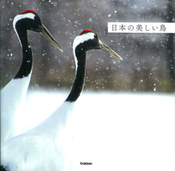 日本の美しい鳥 学研出版サイト