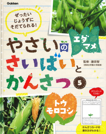 やさいのさいばいとかんさつ ５ エダマメ トウモロコシ 学研出版サイト