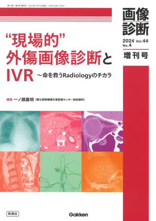 秀潤社　画像診断 　2024年度14冊セット　1月～12月＋増刊号2冊 画像診断』年間購読（2024年）【電子版】 | 医書.jp