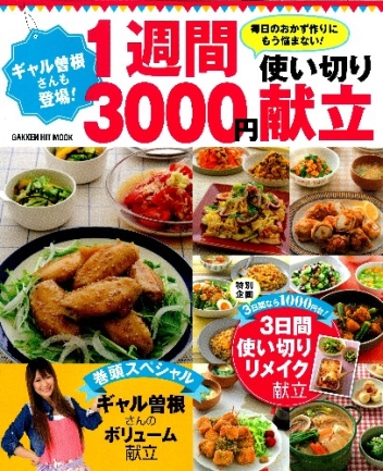 ヒットムック料理シリーズ ギャル曽根さんも登場 １週間３０００円使い切り献立 学研出版サイト