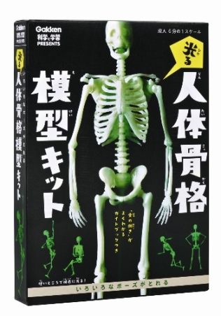 科学と学習ｐｒｅｓｅｎｔｓ 光る 人体骨格模型キット 学研出版サイト