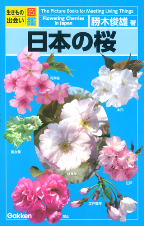 日本桜集 生きもの出会い図鑑『日本の桜』 ｜ 学研出版サイト
