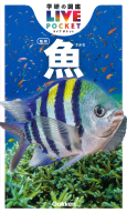 学研の図鑑ＬＩＶＥ（ライブ）ポケット『魚　新版』
