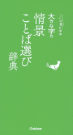 ことば選び辞典『大きな字の情景ことば選び辞典』