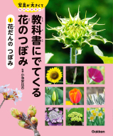 教科書にでてくる　花のつぼみ『１　花だんの　つぼみ』