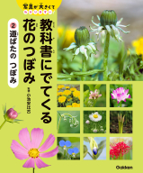 教科書にでてくる　花のつぼみ『２　道ばたの　つぼみ』