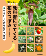 教科書にでてくる　花のつぼみ『３　やさい・くだものの　つぼみ』