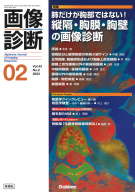 画像診断『画像診断２０２３年２月号　Ｖｏｌ．４３　Ｎｏ．２　肺だけが胸部ではない！　縦隔・胸膜・胸壁の画像診断』