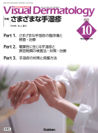 『Ｖｉｓｕａｌ　Ｄ．　２０２３年１０月号　Ｖｏｌ．２２　Ｎｏ．１０』