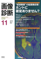 画像診断『画像診断２０２４年１１月号　Ｖｏｌ．４４　Ｎｏ．１３　“経過観察”の脳画像診断：ホントに著変ありません？』