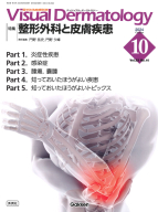 Ｖｉｓｕａｌ　Ｄｅｒｍａｔｏｌｏｇｙ『Ｖｉｓｕａｌ　Ｄ．　２０２４年１０月号　Ｖｏｌ．２３　Ｎｏ．１０』