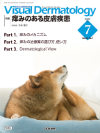 『Ｖｉｓｕａｌ　Ｄ．　２０２５年７月号　Ｖｏｌ．２４　Ｎｏ．７』
