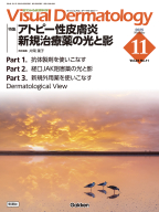 『Ｖｉｓｕａｌ　Ｄ．　２０２５年１１月号　Ｖｏｌ．２４　Ｎｏ．１１　アトピー性皮膚炎　新規治療薬の光と影』