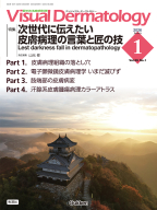 Ｖｉｓｕａｌ　Ｄｅｒｍａｔｏｌｏｇｙ『Ｖｉｓｕａｌ　Ｄ．　２０２６年１月号　Ｖｏｌ．２５　Ｎｏ．１　次世代に伝えたい皮膚病理の言葉と匠の技』