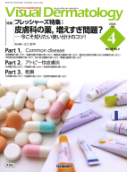 Ｖｉｓｕａｌ　Ｄｅｒｍａｔｏｌｏｇｙ『Ｖｉｓｕａｌ　Ｄ．　２０２６年４月号　Ｖｏｌ．２５　Ｎｏ．４』