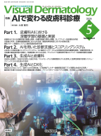 『Ｖｉｓｕａｌ　Ｄ．　２０２６年５月号　Ｖｏｌ．２５　Ｎｏ．５』