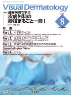 Ｖｉｓｕａｌ　Ｄｅｒｍａｔｏｌｏｇｙ『Ｖｉｓｕａｌ　Ｄ．　２０２６年８月号　Ｖｏｌ．２５　Ｎｏ．８　基幹病院で学ぶ皮膚外科の妙技まるごと一冊！』