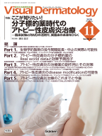 Ｖｉｓｕａｌ　Ｄｅｒｍａｔｏｌｏｇｙ『Ｖｉｓｕａｌ　Ｄ．　２０２６年１１月号　Ｖｏｌ．２５　Ｎｏ．１１　ここが知りたい！分子標的薬時代のアトピー性皮膚炎治療』