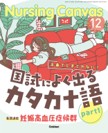 『Ｎｕｒｓｉｎｇ　Ｃａｎｖａｓ２０２５年１２月号Ｖｏｌ．１３Ｎｏ．１２』