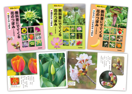 教科書にでてくる　花のつぼみ『教科書にでてくる　花のつぼみ　全３巻』