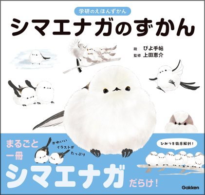 学研のえほんずかん『シマエナガのずかん』