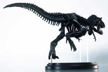 科学と学習ｐｒｅｓｅｎｔｓ ティラノサウルス１ ３５骨格模型キット 本物の大きさ特大ポスター 学研出版サイト