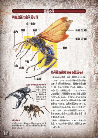 最強王図鑑シリーズ 昆虫最強王図鑑 学研出版サイト